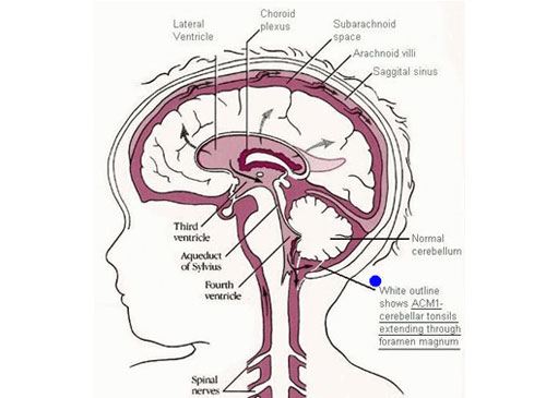 portfolio-girl-image-style